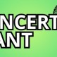 Magia szant w Swornegaciach - koncert pod gołym niebem